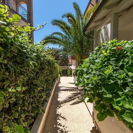 In Pjescana Uvala Mit Grosser Terrasse By Interhome Appartement